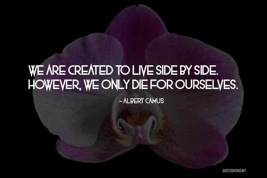 Stearman For Sale Quotes By Albert Camus Stearman For Sale Quotes By Albert Camus