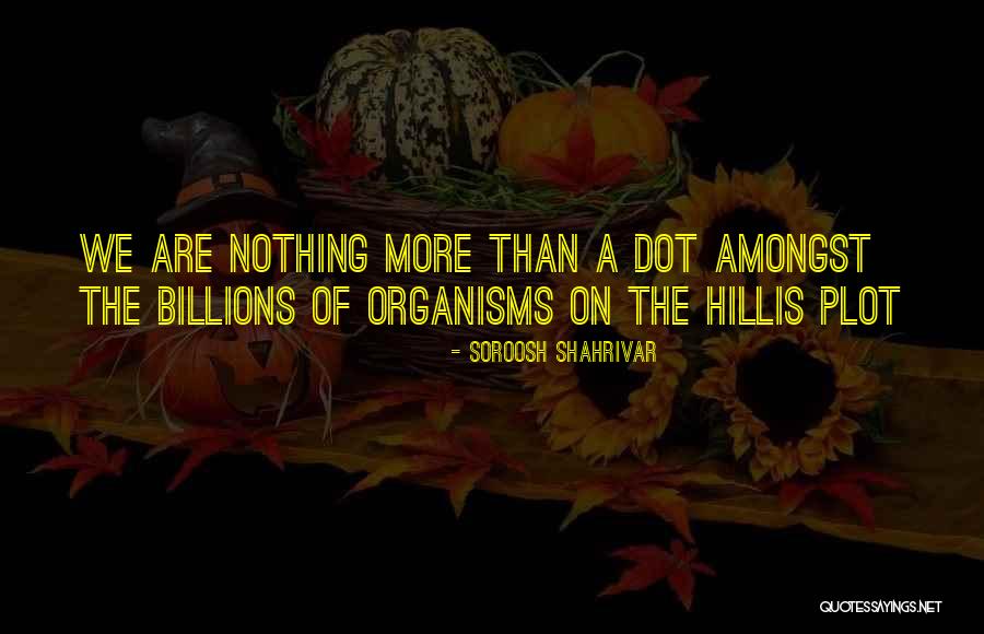 Stechauner Quotes By Soroosh Shahrivar Stechauner Quotes By Soroosh Shahrivar