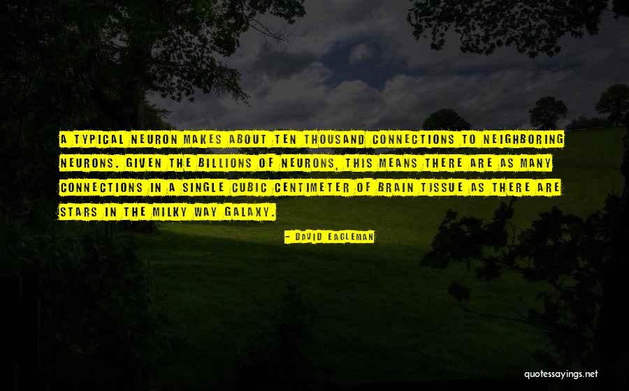 Stecktafel Quotes By David Eagleman Stecktafel Quotes By David Eagleman