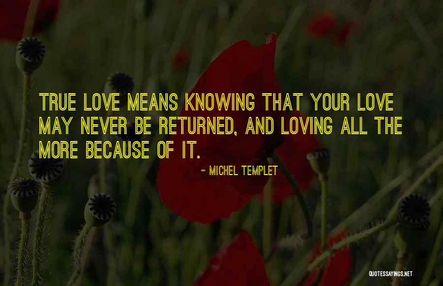 Steeder Quotes By Michel Templet Steeder Quotes By Michel Templet