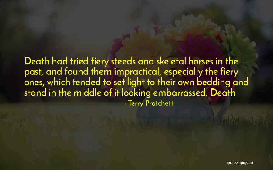 Steeds Quotes By Terry Pratchett