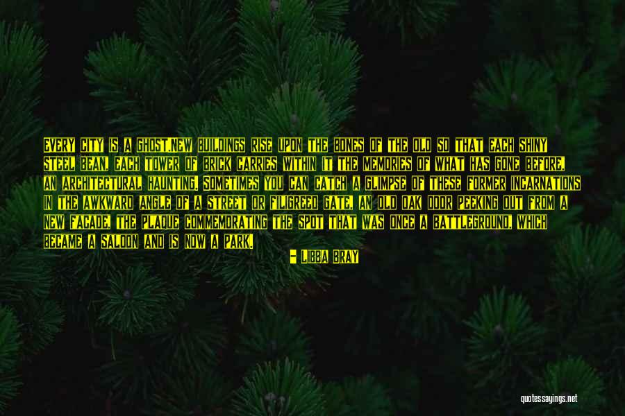 Steel Buildings Quotes By Libba Bray Steel Buildings Quotes By Libba Bray