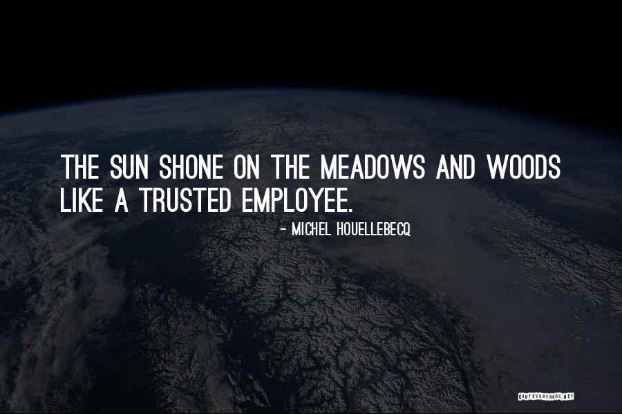 Steeldrivers Chris Quotes By Michel Houellebecq Steeldrivers Chris Quotes By Michel Houellebecq