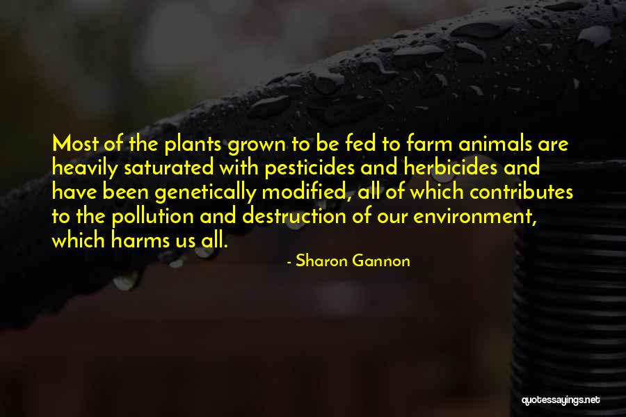 Steele The Singer Quotes By Sharon Gannon Steele The Singer Quotes By Sharon Gannon