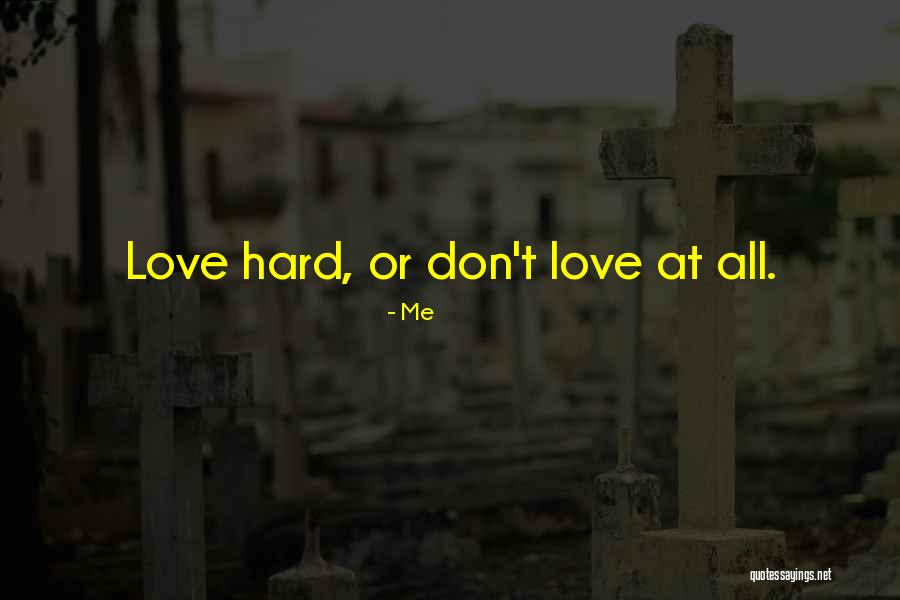 Steelhammer Rentals Quotes By Me