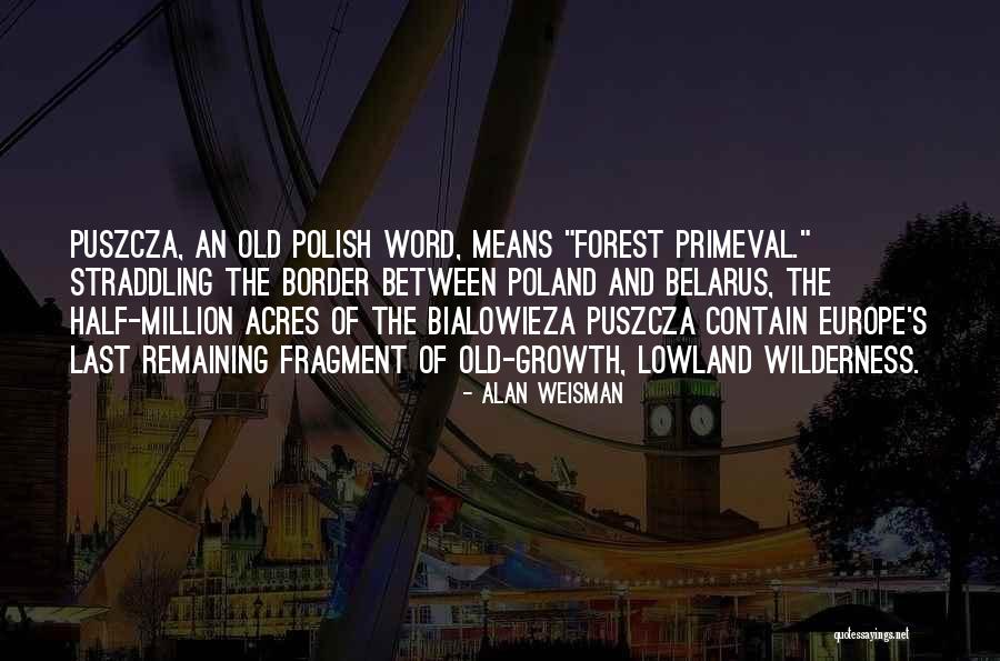 Steelmakers Quotes By Alan Weisman Steelmakers Quotes By Alan Weisman