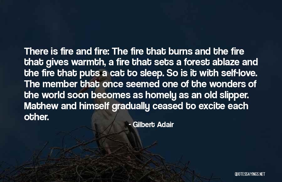 Steelsmith Haus Quotes By Gilbert Adair Steelsmith Haus Quotes By Gilbert Adair
