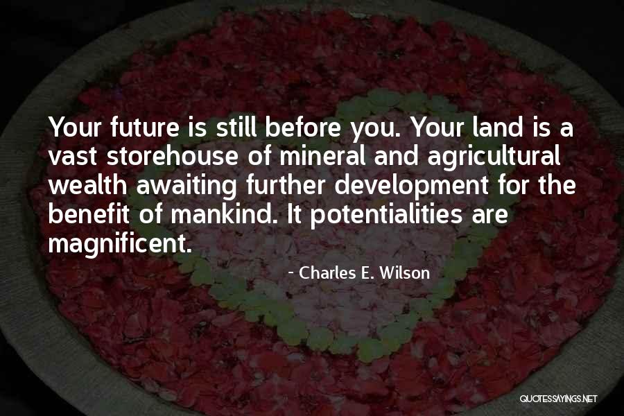 Steenman Associates Quotes By Charles E. Wilson Steenman Associates Quotes By Charles E. Wilson