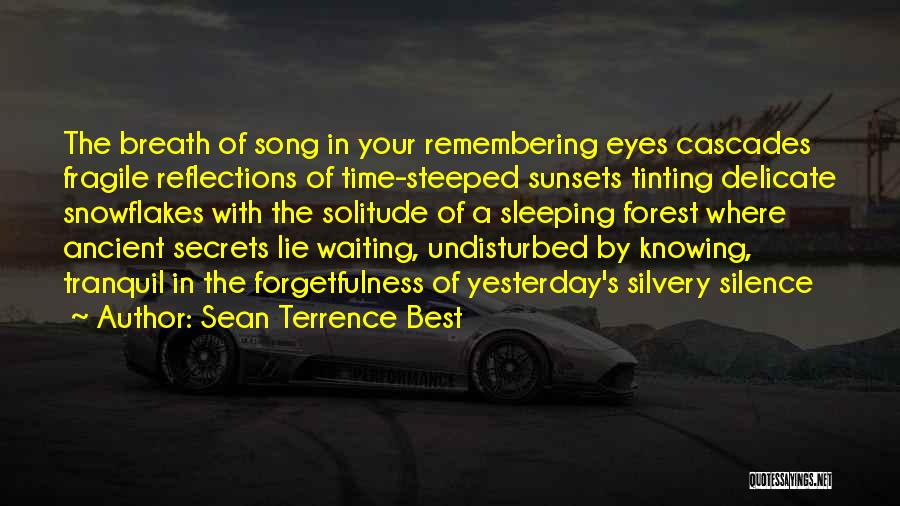 Steeped Quotes By Sean Terrence Best