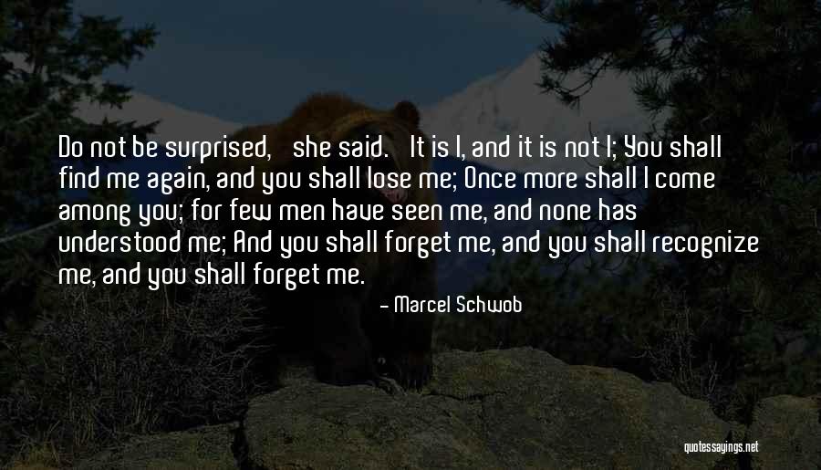 Steeplechase Park Quotes By Marcel Schwob Steeplechase Park Quotes By Marcel Schwob