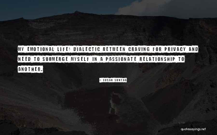 Steeplechase Park Quotes By Susan Sontag Steeplechase Park Quotes By Susan Sontag
