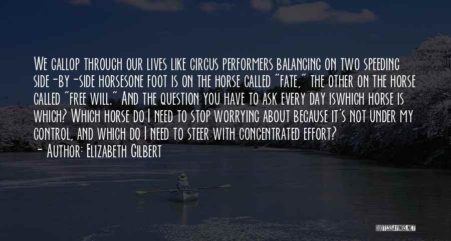 Steer Life Quotes By Elizabeth Gilbert