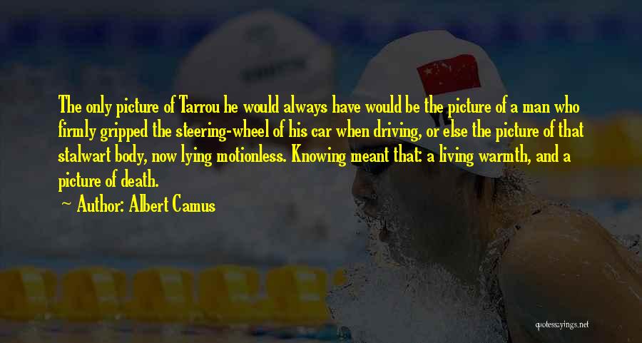 Steering Life Quotes By Albert Camus