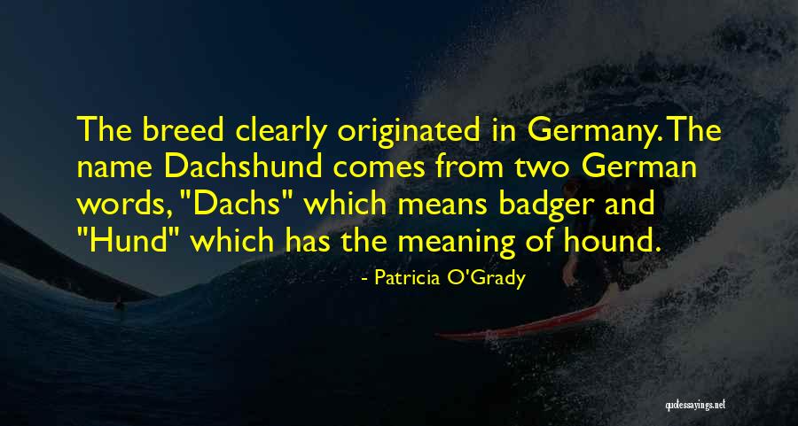 Stef Sanjati Quotes By Patricia O'Grady Stef Sanjati Quotes By Patricia O'Grady