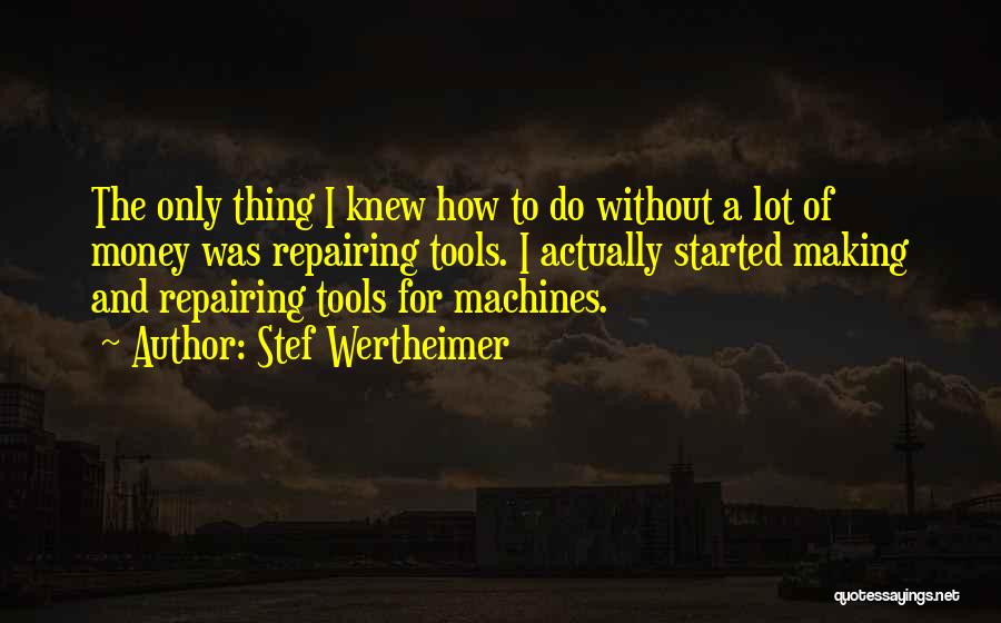 Stef Wertheimer Quotes 577145