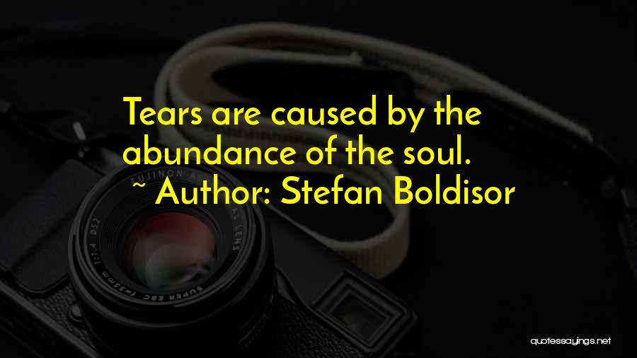 Stefan Boldisor Quotes 1307196