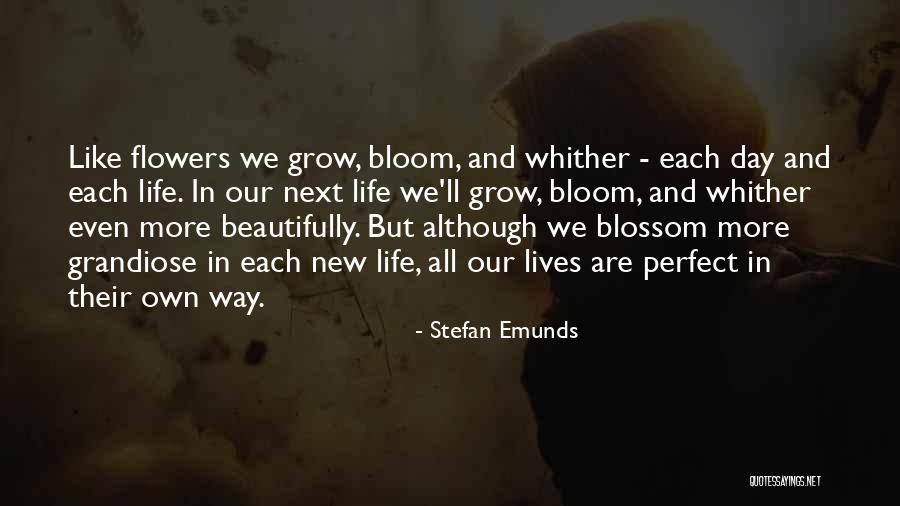 Stefan Emunds Quotes 1843187