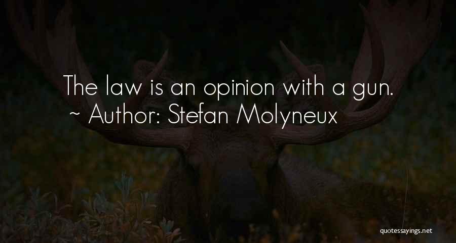 Stefan Molyneux Quotes 446642