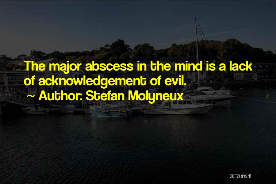 Stefan Molyneux Quotes 840671