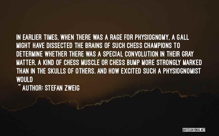 Stefan Zweig Chess Quotes By Stefan Zweig