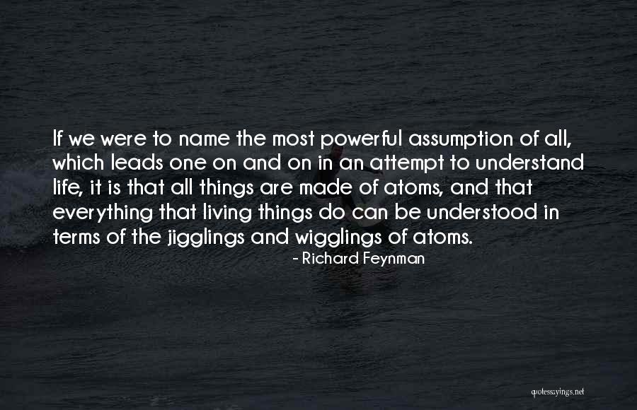 Stefanescu Fotbalist Quotes By Richard Feynman Stefanescu Fotbalist Quotes By Richard Feynman