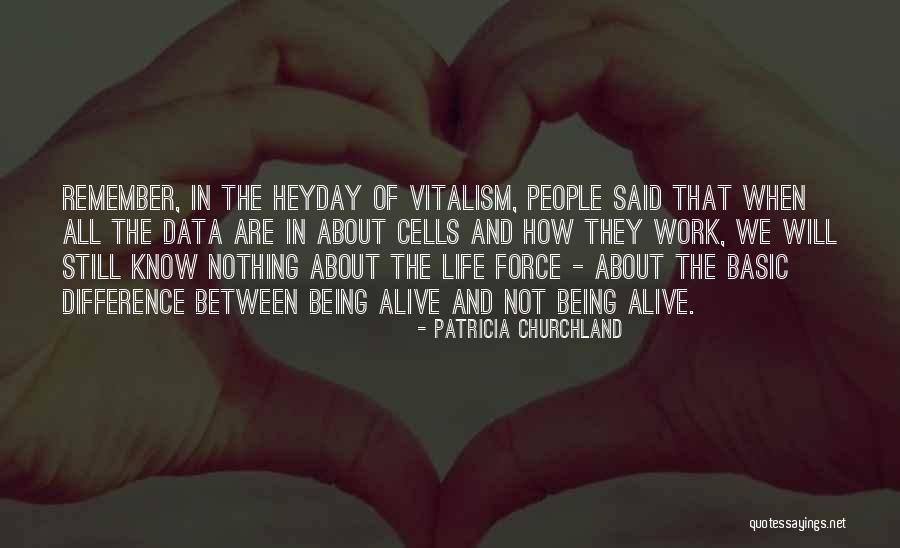 Stefania Casini Quotes By Patricia Churchland Stefania Casini Quotes By Patricia Churchland