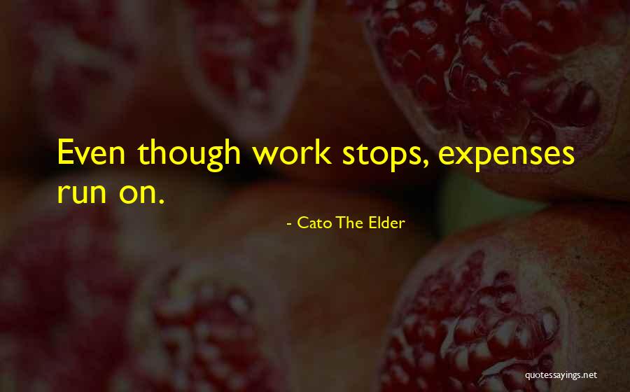 Stefania Owen Quotes By Cato The Elder Stefania Owen Quotes By Cato The Elder