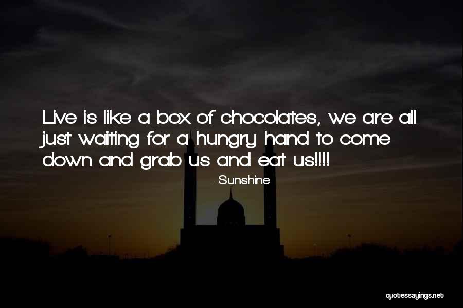 Stefanie Pleet Quotes By Sunshine Stefanie Pleet Quotes By Sunshine