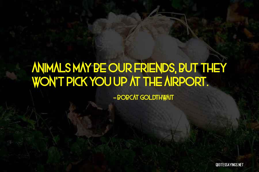 Stefanini Address Quotes By Bobcat Goldthwait