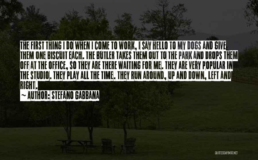 Stefano Gabbana Quotes 1117622