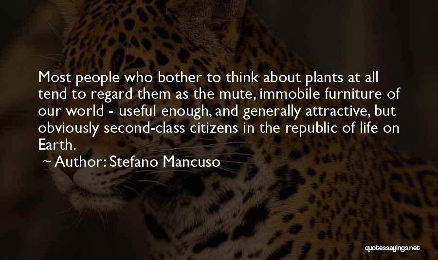 Stefano Mancuso Quotes 769561