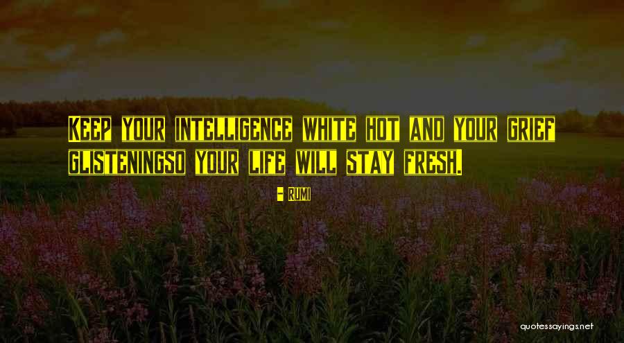 Stefanon Apartmani Quotes By Rumi Stefanon Apartmani Quotes By Rumi