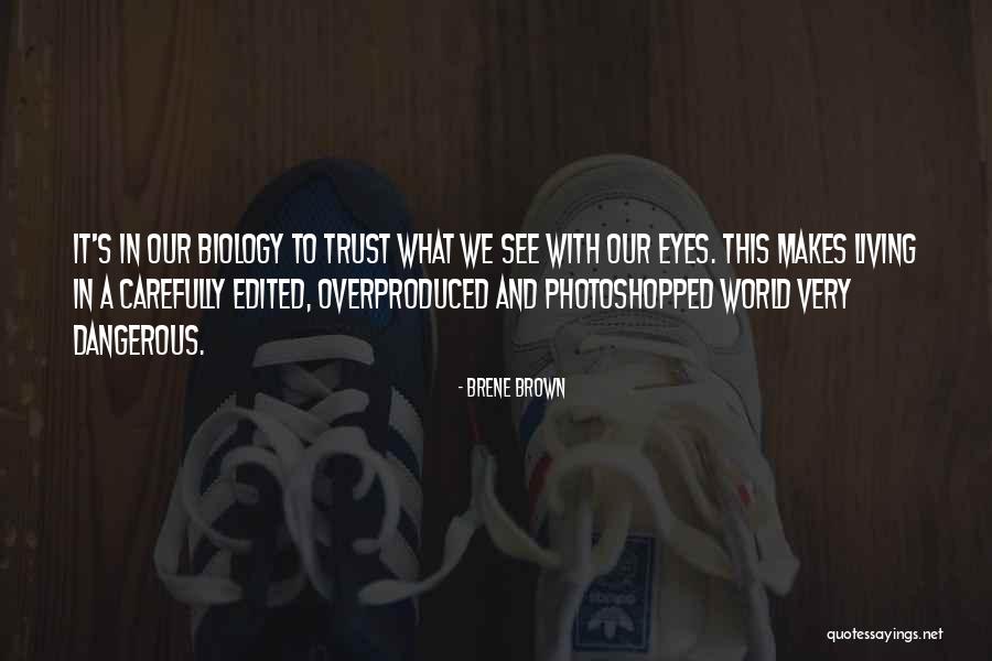 Steffensen Insurance Quotes By Brene Brown Steffensen Insurance Quotes By Brene Brown
