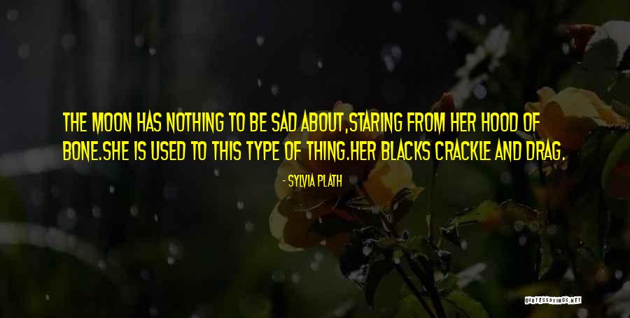 Steginsky Capital Quotes By Sylvia Plath Steginsky Capital Quotes By Sylvia Plath