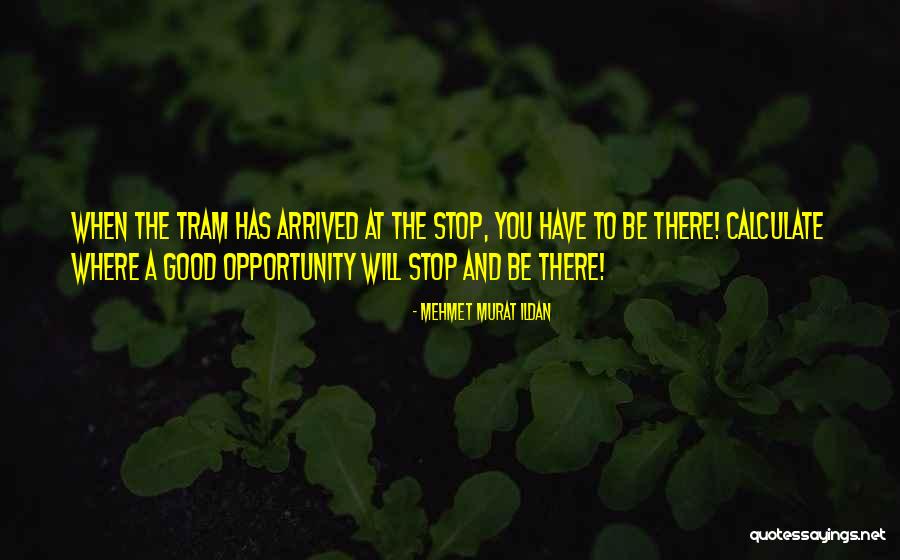 Stegner Farms Quotes By Mehmet Murat Ildan Stegner Farms Quotes By Mehmet Murat Ildan