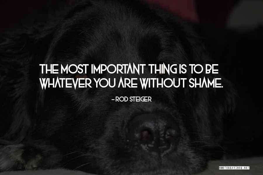 Steiger Quotes By Rod Steiger Steiger Quotes By Rod Steiger