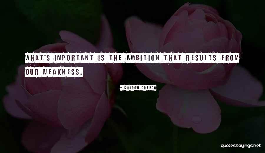 Steigers San Marcos Quotes By Sharon Creech Steigers San Marcos Quotes By Sharon Creech