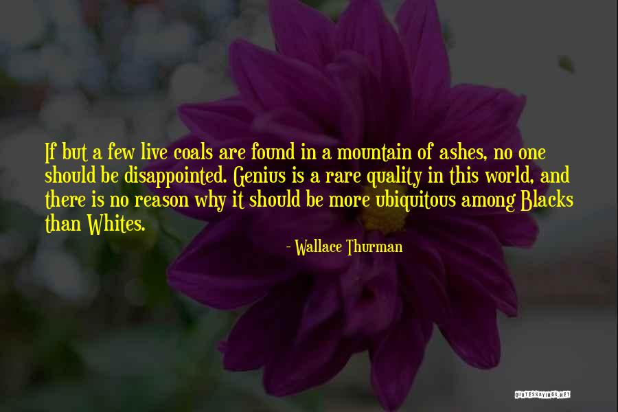 Steimle Crash Quotes By Wallace Thurman Steimle Crash Quotes By Wallace Thurman