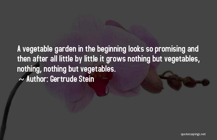 Stein Gertrude Quotes By Gertrude Stein