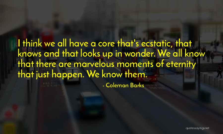 Steinbacher Enterprises Quotes By Coleman Barks Steinbacher Enterprises Quotes By Coleman Barks