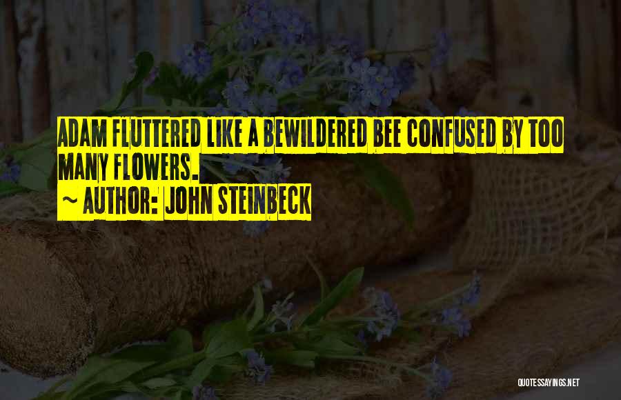 Steinbeck John Quotes By John Steinbeck