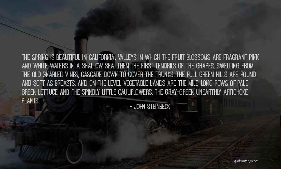 Steinbeck The Sea Quotes By John Steinbeck Steinbeck The Sea Quotes By John Steinbeck