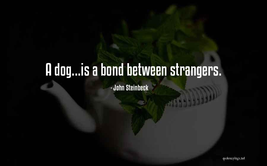 Steinbeck Travel Quotes By John Steinbeck Steinbeck Travel Quotes By John Steinbeck
