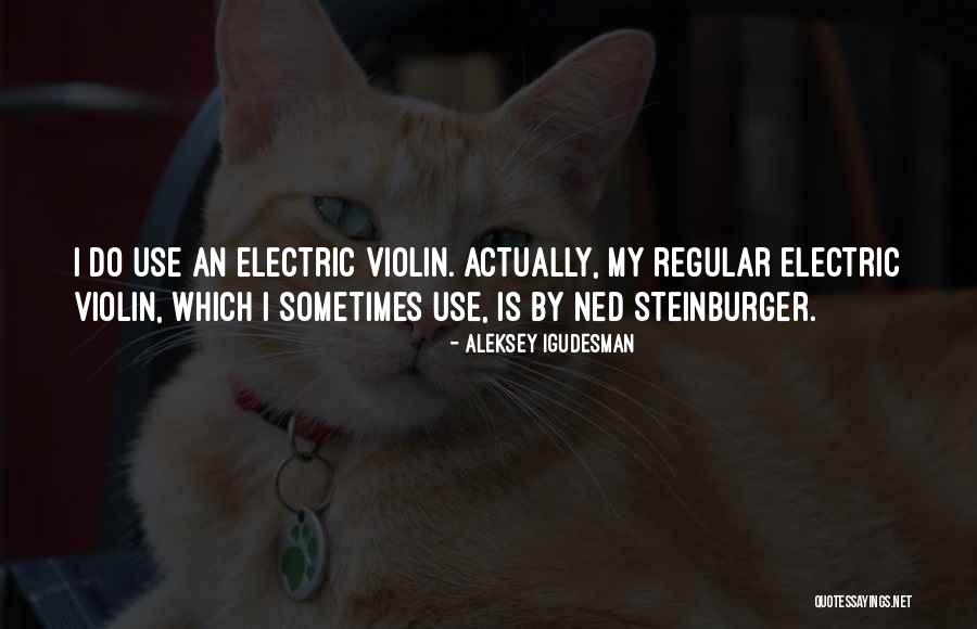 Steinburger Quotes By Aleksey Igudesman Steinburger Quotes By Aleksey Igudesman