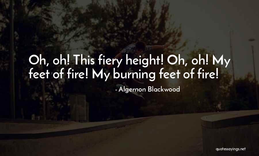 Steindorf Hsc Quotes By Algernon Blackwood Steindorf Hsc Quotes By Algernon Blackwood