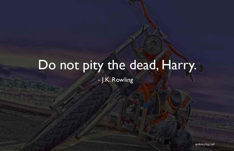 Steindorf Hsc Quotes By J.K. Rowling Steindorf Hsc Quotes By J.K. Rowling