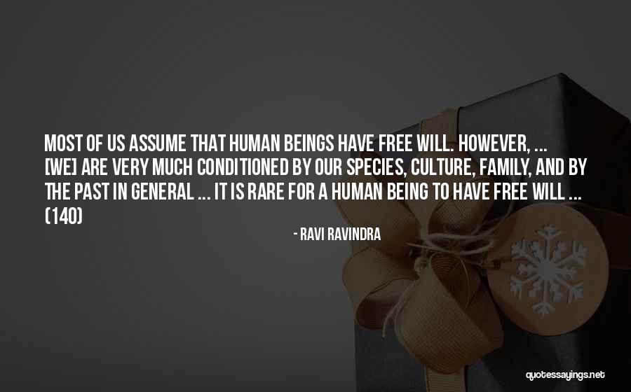 Steindorff Trinocular Quotes By Ravi Ravindra Steindorff Trinocular Quotes By Ravi Ravindra