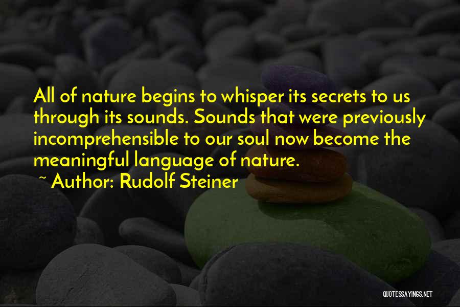 Steiner Quotes By Rudolf Steiner