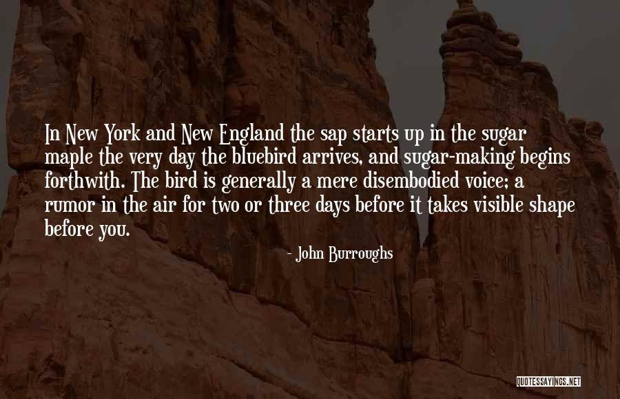 Steinerne Renne Quotes By John Burroughs Steinerne Renne Quotes By John Burroughs