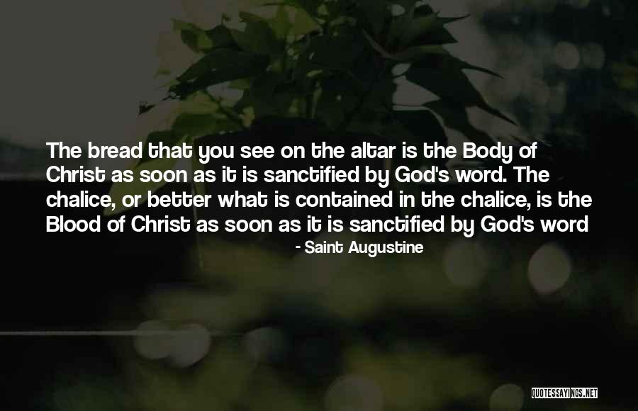 Steinerne Rinne Quotes By Saint Augustine Steinerne Rinne Quotes By Saint Augustine